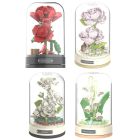 JAKI Preserved Flower Music Box + Display Cover