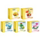 Keeppley Pokemon Bonsai: Pikachu Charmander Squirtle Bulbasaur Jigglypuff Potted Plant Series