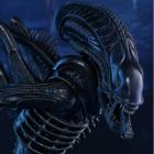 Hot Toys 1/6th Scale MMS354 Aliens: Alien Warrior Collectible Figure