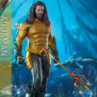 Hot Toys 1/6th Scale MMS518 Aquaman Collectible Figure