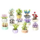 JAKI Succulent Building Block Potted Plants