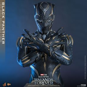 Hot Toys MMS675 Black Panther: Wakanda Forever - 1/6th scale Black Panther Collectible Figure