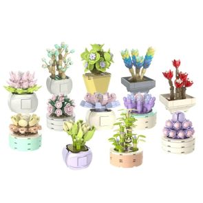 JAKI Succulent Building Block Potted Plants