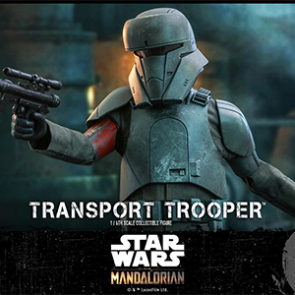 Hot Toys TMS030 Star Wars: The Mandalorian - 1/6th scale Transport Trooper