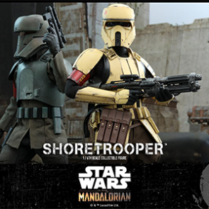 Hot Toys TMS031 Star Wars: The Mandalorian - 1/6th scale Shoretrooper Collectible Figure