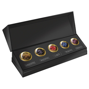 Bandai Power Rangers Movie Legacy Power Coin Set